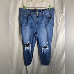 Torrid 'Feel The Fit' Jeggings